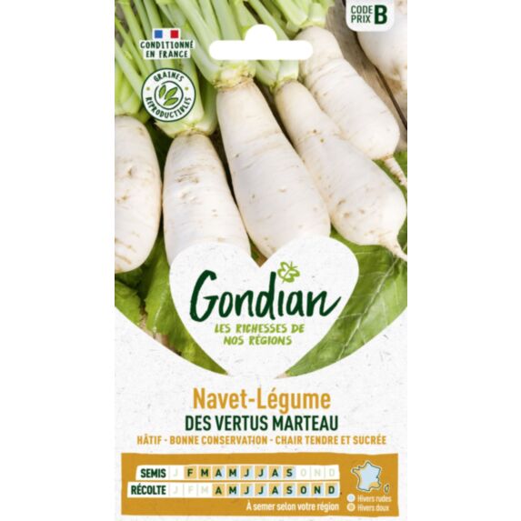 Navet-Légume des Vertus Marteau - GONDIAN