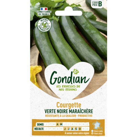 Courgette verte noire maraîchère 40cm - GRAINES GONDIAN