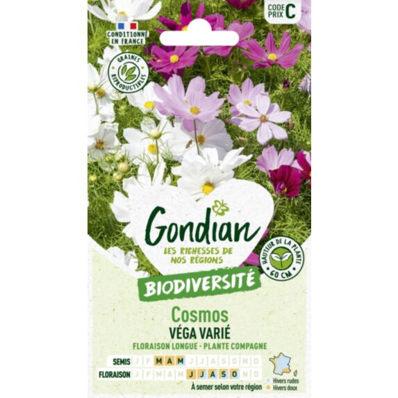 Cosmos Vega Varié - GONDIAN