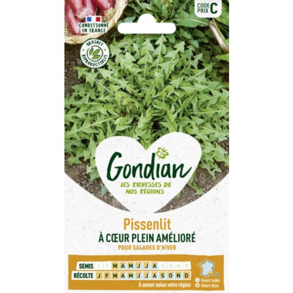 Pissenlit à Cœur Plein Amélioré - GONDIAN