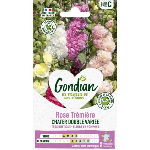 Rose Trémière Extra Chater Varié - GONDIAN