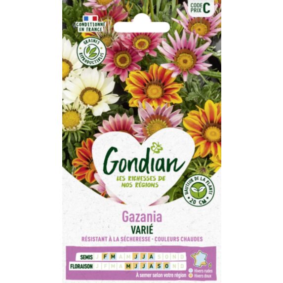Gazania Splendens Varié - GONDIAN