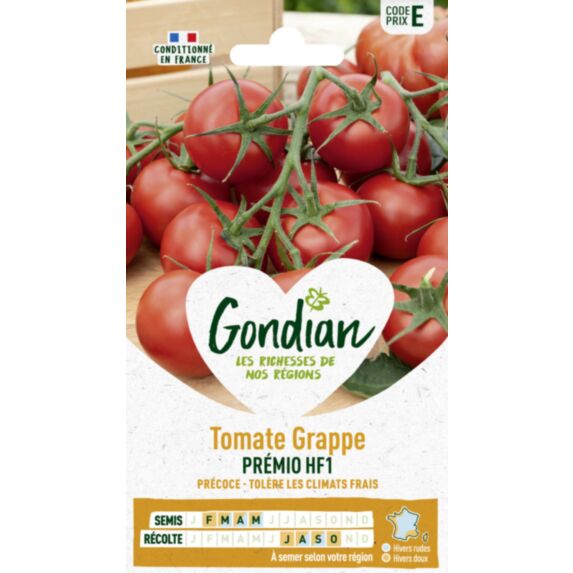Tomate Premio HF1 - GONDIAN