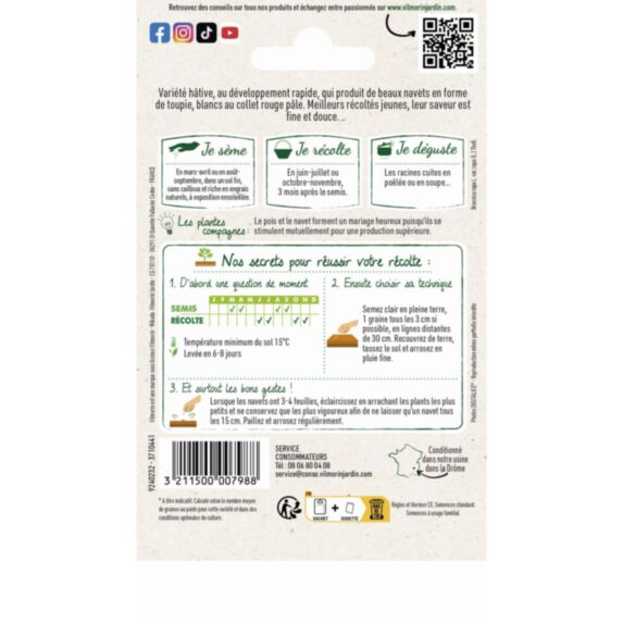 Graines Navet Légume Rave d'Auvergne Hâtive - VILMORIN