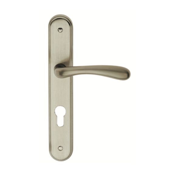 Ensemble de poignée Alma zamak nickel mat cylindre