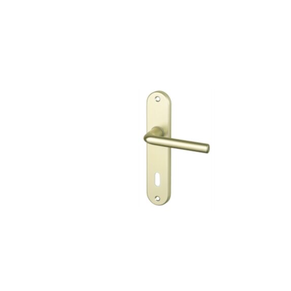 Ensemble de poignée Courchevel aluminium champagne clé entra
