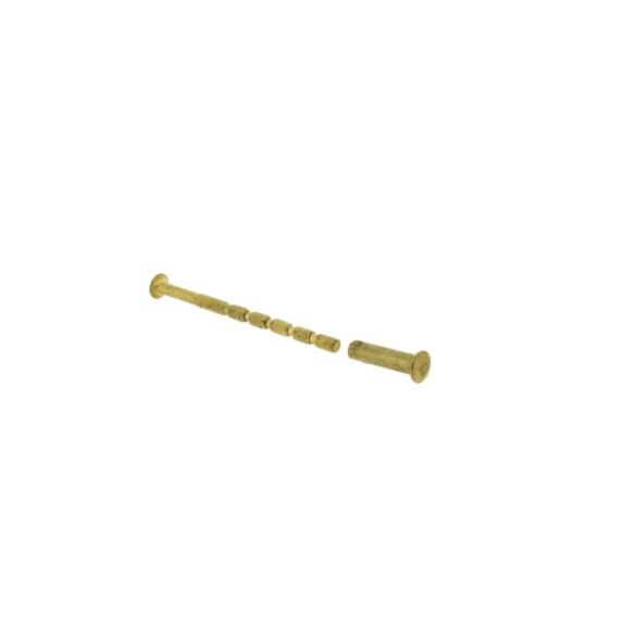 2 vis relieuses laitonnées 4X60 prédécoupées + douilles non