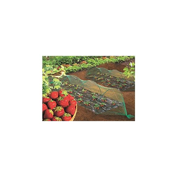 Filet de protection oiseaux pe 5x5m - NORTENE