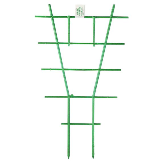 Tuteur échelle plastique pour plantes en pots 0,37m vert - INTERMAS