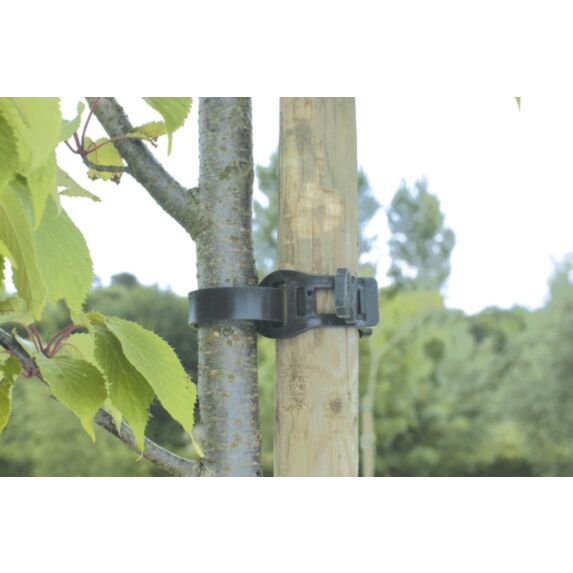 tree tie (collier arbre eva) 0,55m - NORTENE