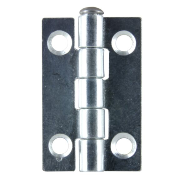 Charnière axe inox 30x19mm acier zingué x4 - CIME