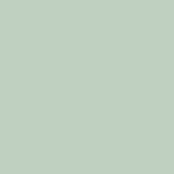 Peinture murale Velours céladon 125 ml - LIBERON