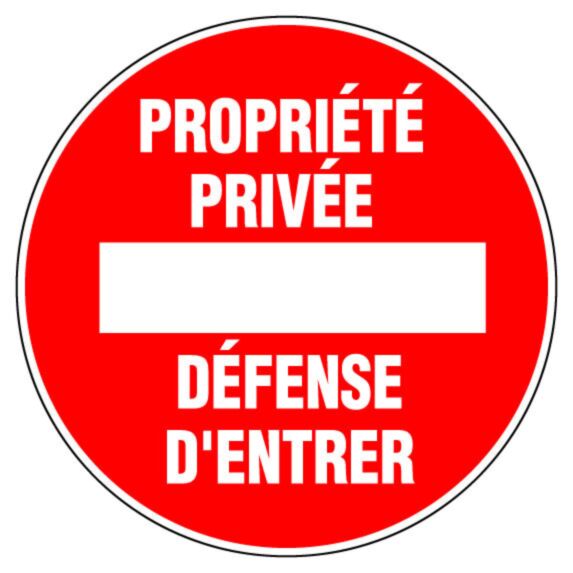 Disque diamètre 300 mm rigide 