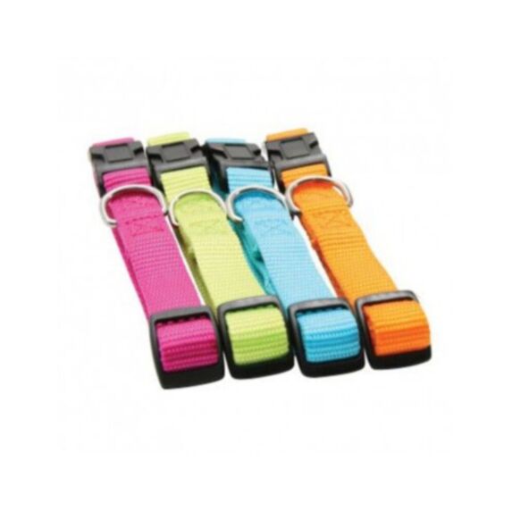 Collier nylon réglable 40 mm turquoise - ZOLUX