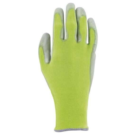 Gant colors 7 anis