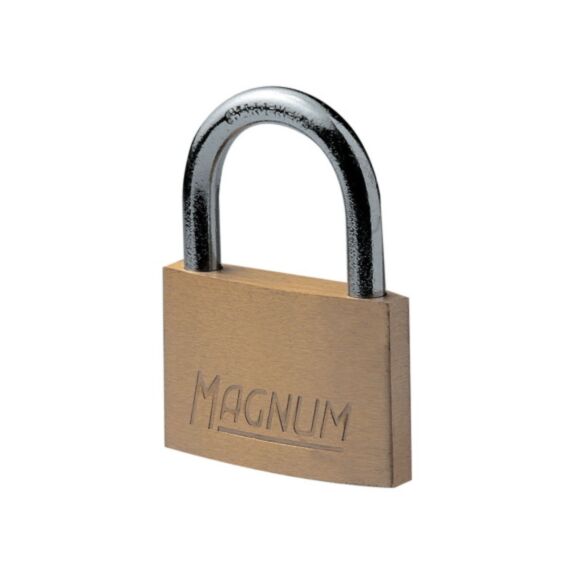 Cadenas laiton 50mm anse acier - MASTER LOCK