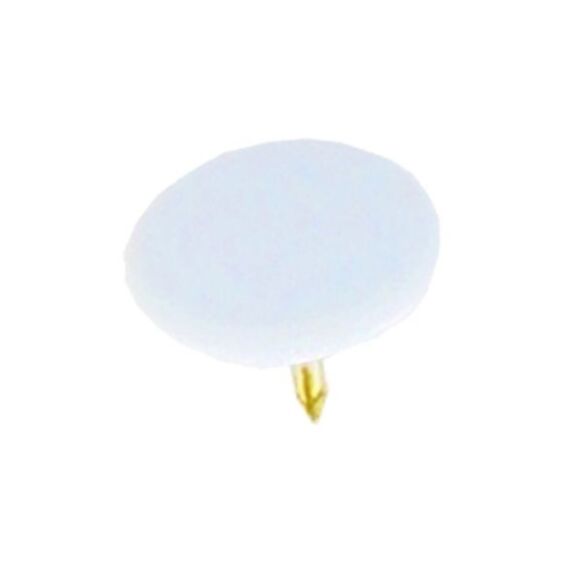 Punaises blanchesx150 - INVENTIV