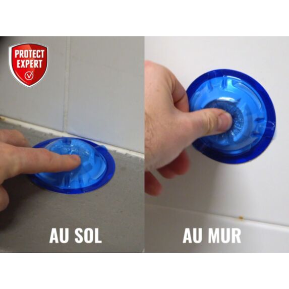 Boîtes appâts fourmis x10 - PROTECT EXPERT