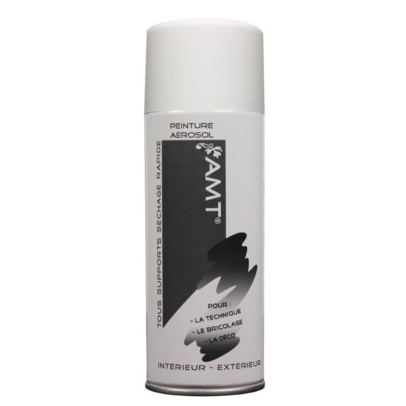 Peinture aérosol blanc mat - AMT