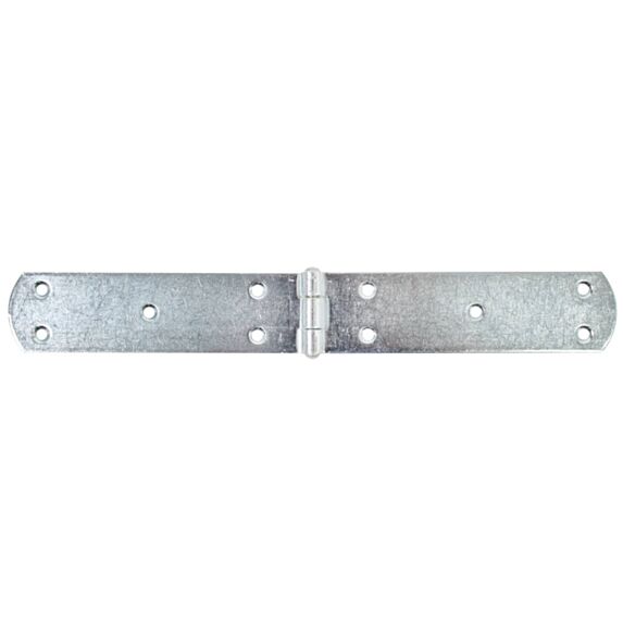Charnière de malle + goupille rivetée Ø5,5mm 4x30cm - ALBERTS