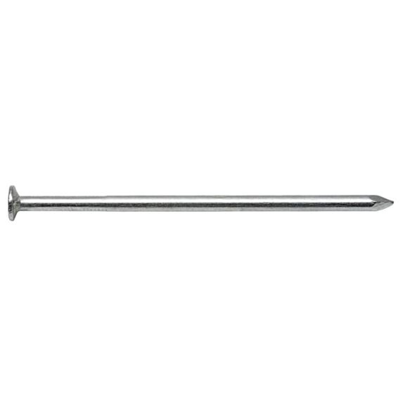 Pointe  tête plate acier zingué 1,6 x 30 mm