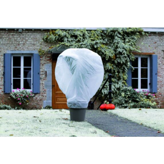 Voile d'hivernage 2x10m - NORTENE