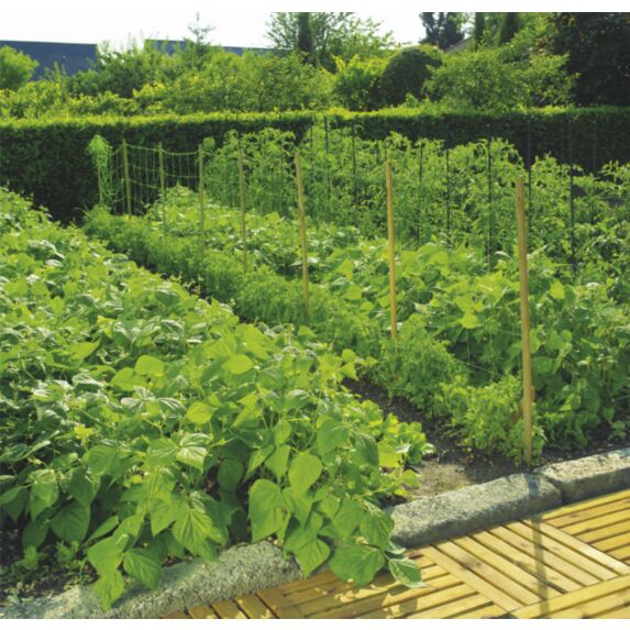 Trellinet (Filet à ramer) 2x10m - INTERMAS