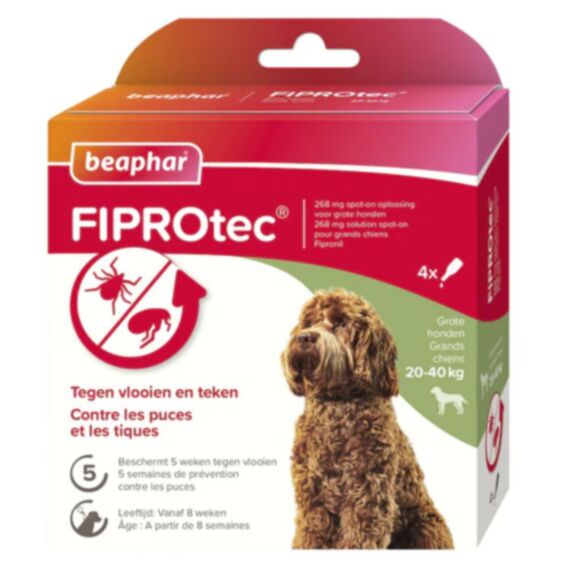 Pipette Fiprotec chien taille L x4 - BEAPHAR 