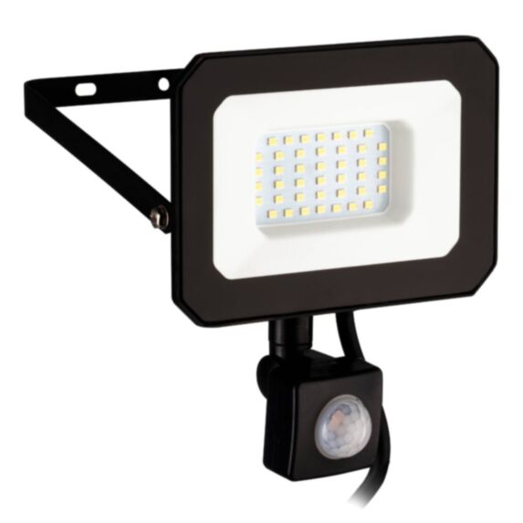 PROJECTEUR LED 30W AVEC DETECTEUR NOIR RISACCA-E