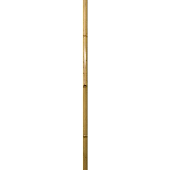 Tuteur bambou déco 200cm 7cm - WINDHAGER