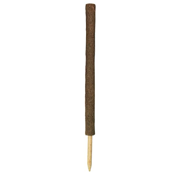 Tuteur fibres coco 80cm 4,5cm - WINDHAGER