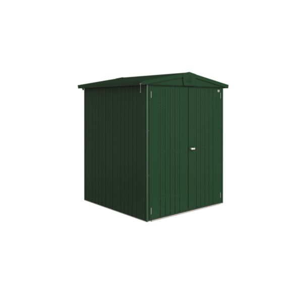 Abri de jardin EUROPA T2 vert - BIOHORT