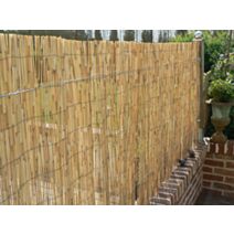 Canisse en roseau pelé 2x5m - IDEAL GARDEN