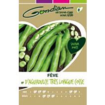 FEVE D'AGUADULCE TRES LONGUE COSSE (250 GRS)