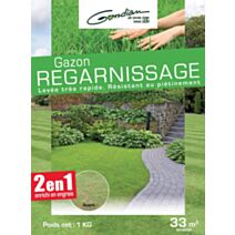 Gazon regarnissage 1 kg
