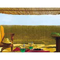 Paillon de roseau pelé Reedcane 2x5m - NORTENE