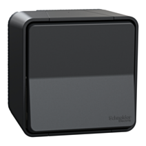 Poussoir étanche saillie complet Mureva Styl anthracite - SCHNEIDER ELECTRIC