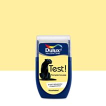 Testeur de Peinture Crème de Couleur Pamplemousse 30ml - DULUX VALENTINE