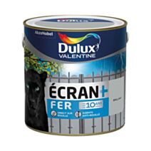 Peinture Ecran + Fer Brillant 2L Gris Franc