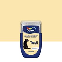 Testeur de Peinture Color Resist Jaune Citron Mat 30ml - DULUX VALENTINE
