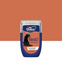 Testeur de Peinture Crème de Couleur Terre Cuite 30ml - DULUX VALENTINE