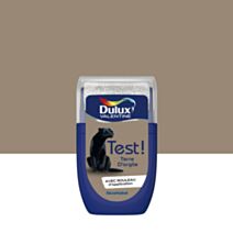 Testeur de Peinture Crème de Couleur Terre d'argile 30ml - DULUX VALENTINE