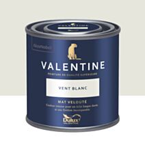 Peinture Valentine Mat Velouté Vent Blanc 0,125L- DULUX VALENTINE