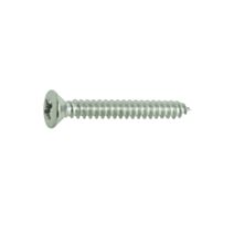 Vis tôle TF bombée x 20 pozi A4 3.9x25 - VYNEX
