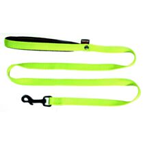 Laisse nylon 16/120 vert