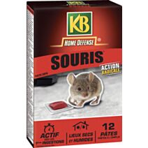 Souris pate 120g - KB HOME DEFENSE