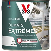 Base à teinter peinture fer climats extrêmes pastel 0,5L - V33