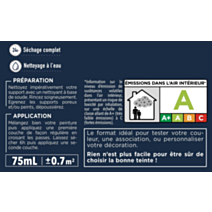 Testeur peinture Rénovation Multisupport figue satin 75 ml - V33