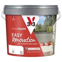 Peinture facade Easy Rénovation 10L Blanc - V33