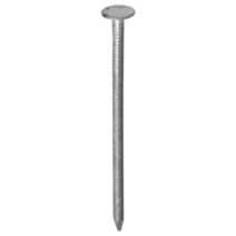 Pointe tp extra large galva 3x30 x150